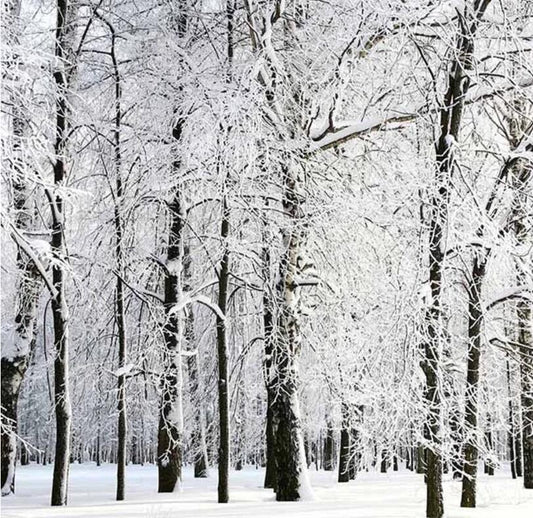 How to Shoot in Winter