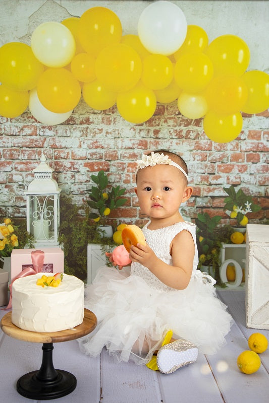 Fox Birthday Yellow Balloon Lemon Vinyl Backdrop Designed By Joy Perez