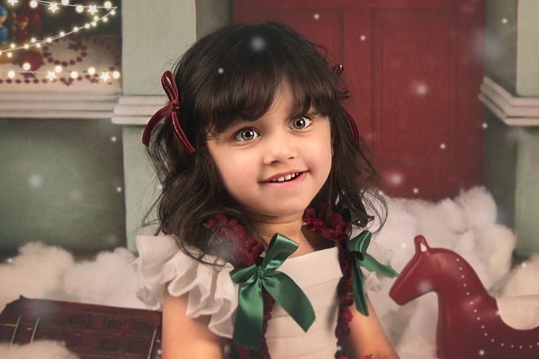 Fox Rolled Christmas Shop Vinyl Photos Backdrop - Foxbackdrop