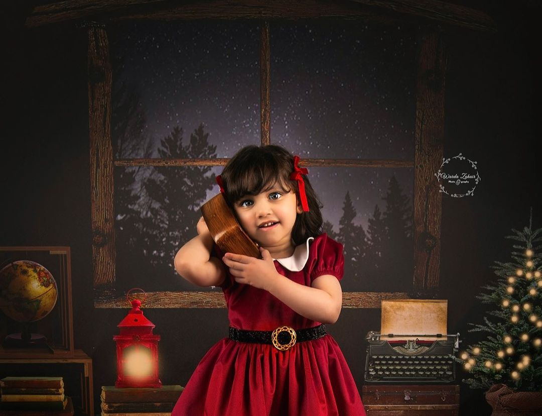 Fox Vinyl Night Christmas Backdrop with Window Sky - Foxbackdrop