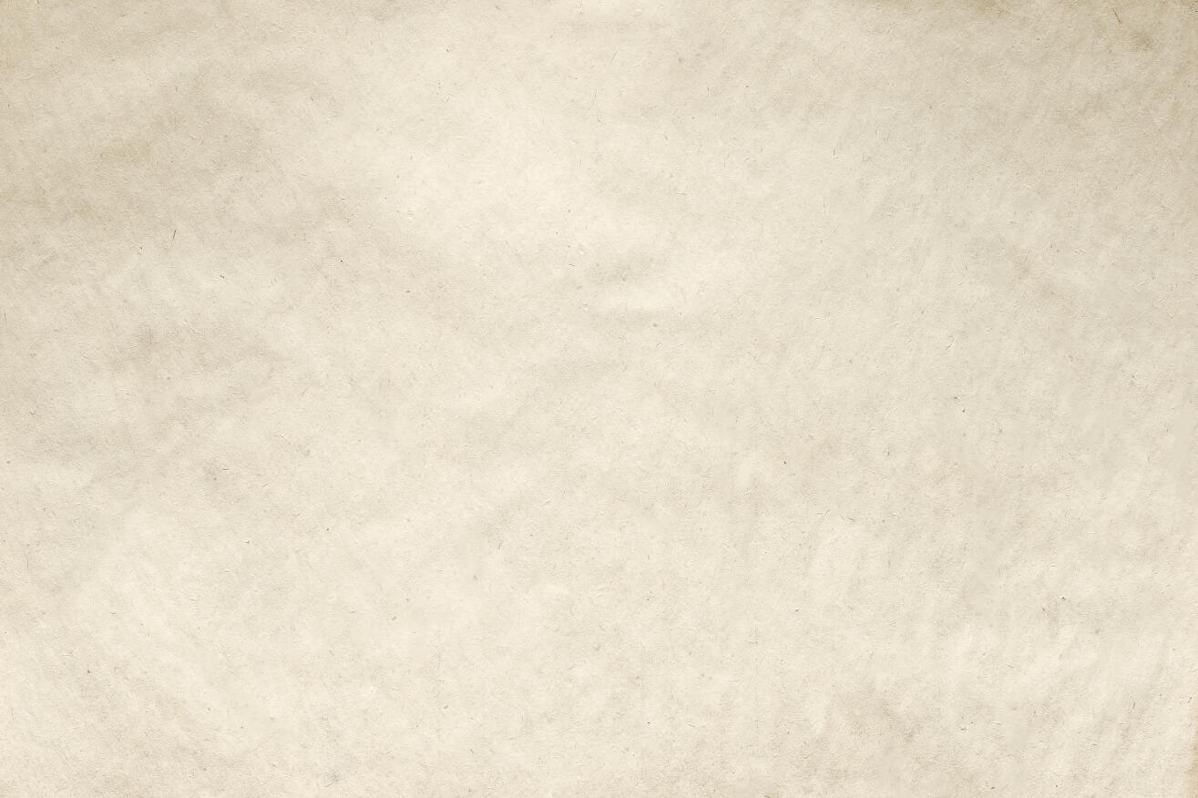 Fox Beige Abstract Portrait Vinyl Texture Photos Backdrop - Foxbackdrop