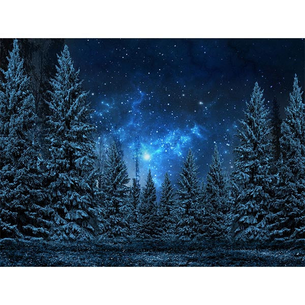 Fox Rolled Night Sky Forest Vinyl Backdrop - Foxbackdrop