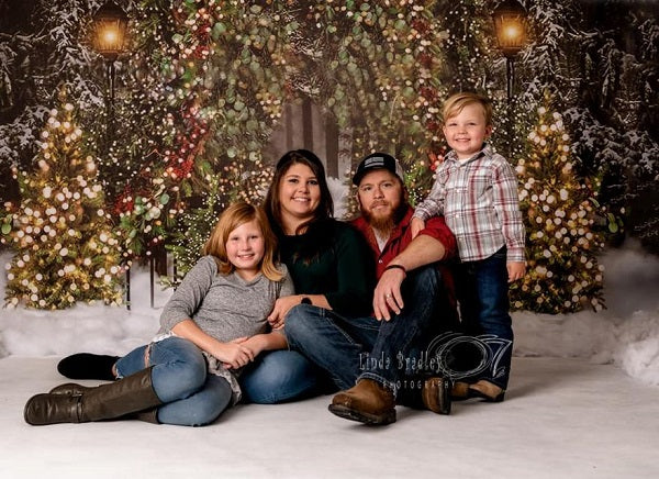 Fox Snow Lights Vinyl Christmas Backdrops