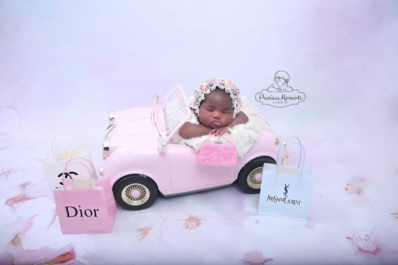 Fox Pink Flowers Spring Vinyl Backdrop