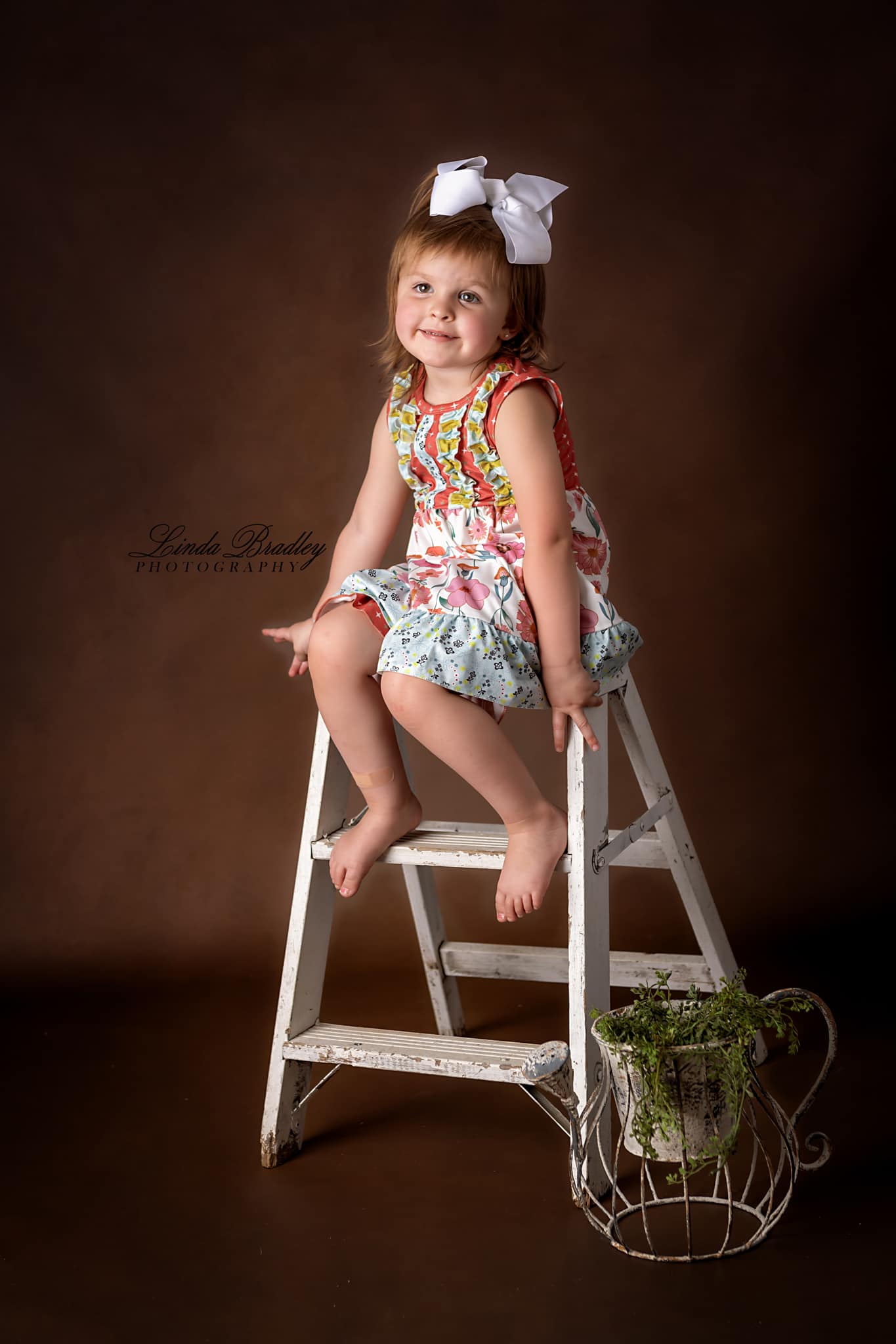 Fox Dark Coffee Abstract Vinyl Photo backdrop