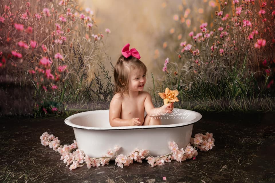 Fox Spring Grassland Flowers Vinyl Photography Backdrop