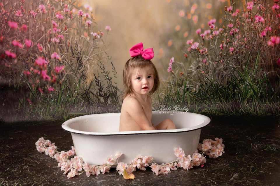 Fox Spring Grassland Flowers Vinyl Photography Backdrop