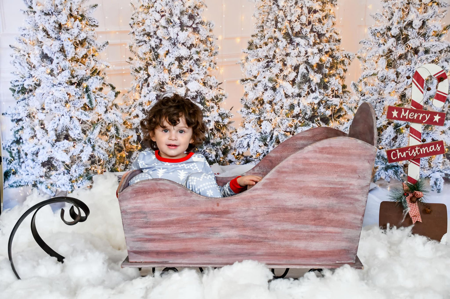 Fox Four Christmas Trees Indoor Photography Vinyl Photo Backdrop