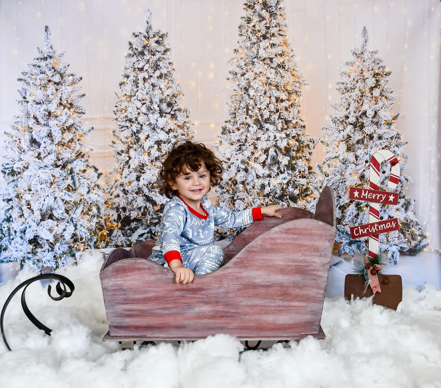 Fox Four Christmas Trees Indoor Photography Vinyl Photo Backdrop