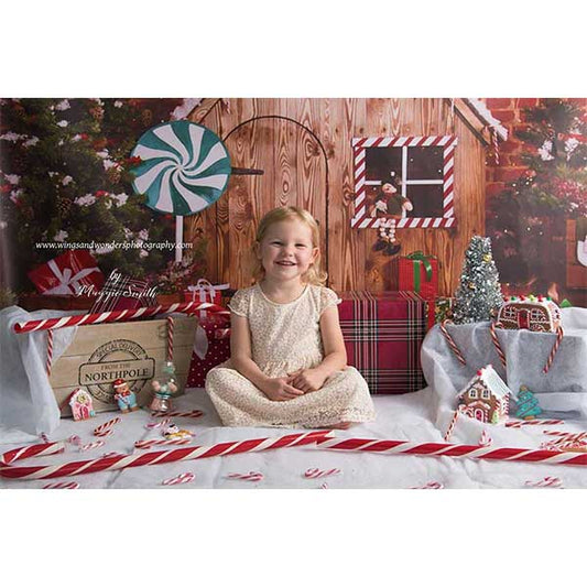 Fox Christmas Cabin Rolled Vinyl Photos Backdrops - Foxbackdrop