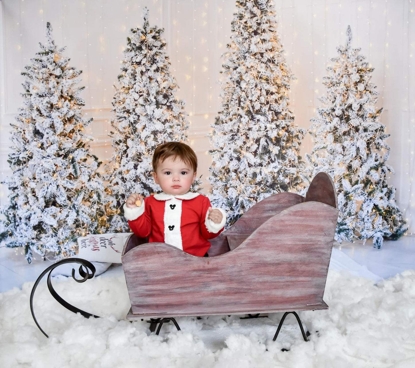 Fox Four Christmas Trees Indoor Photography Vinyl Photo Backdrop