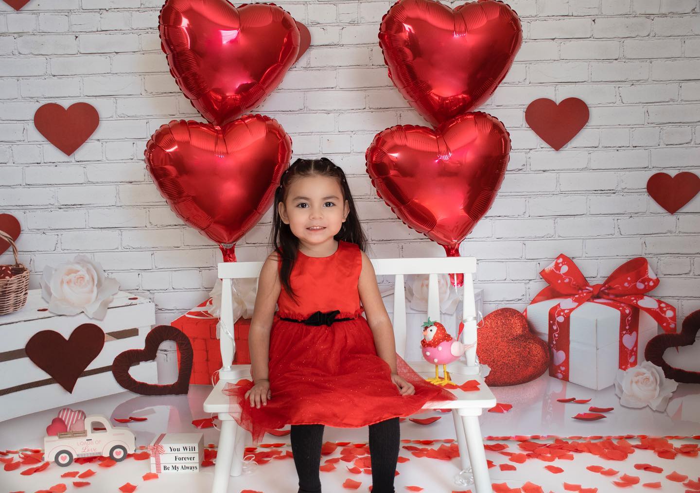 Fox Vinyl Valentine's Day Backdrop for Photography