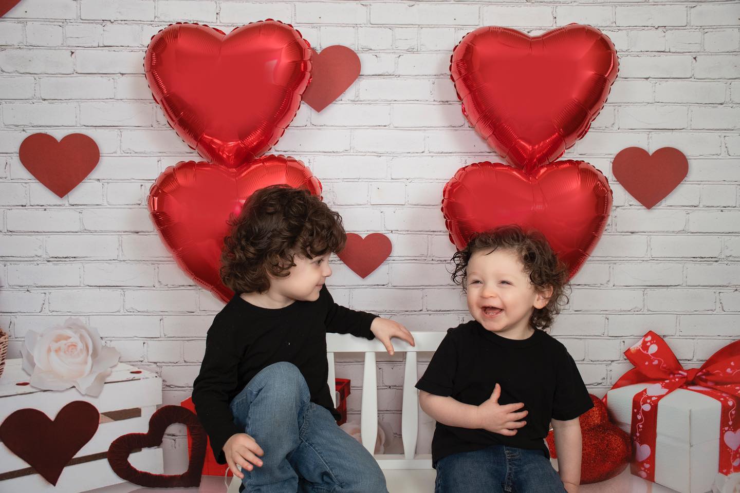 Fox Vinyl Valentine's Day Backdrop for Photography