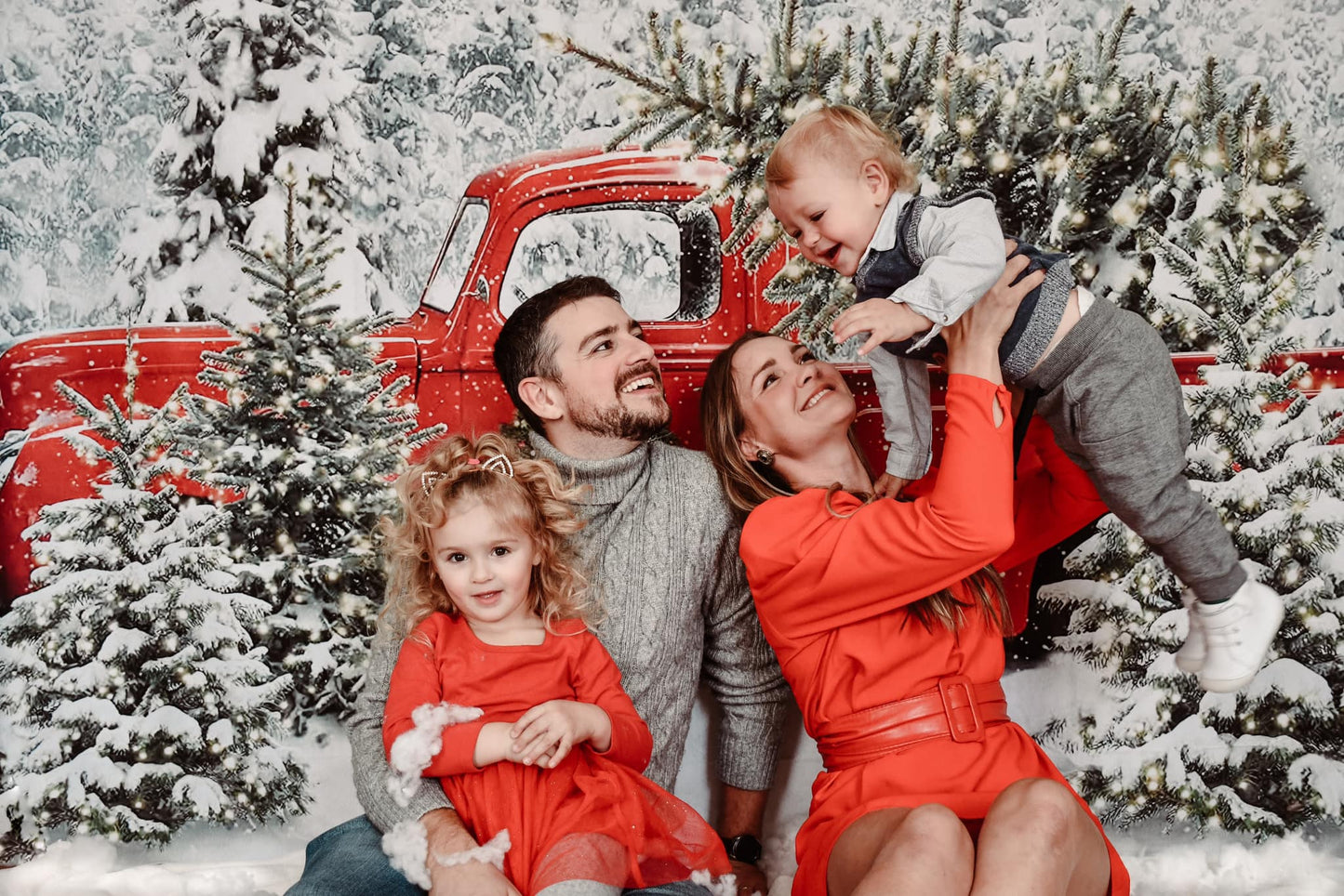 Fox Christmas Tree Car Snow Photography Vinyl Backdrop