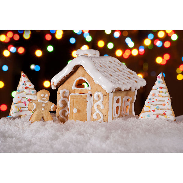 Fox Rolled Gingerbread House Children Christmas Vinyl Backdrop - Foxbackdrop