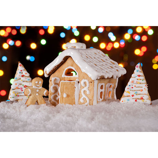Fox Rolled Gingerbread House Children Christmas Vinyl Backdrop - Foxbackdrop
