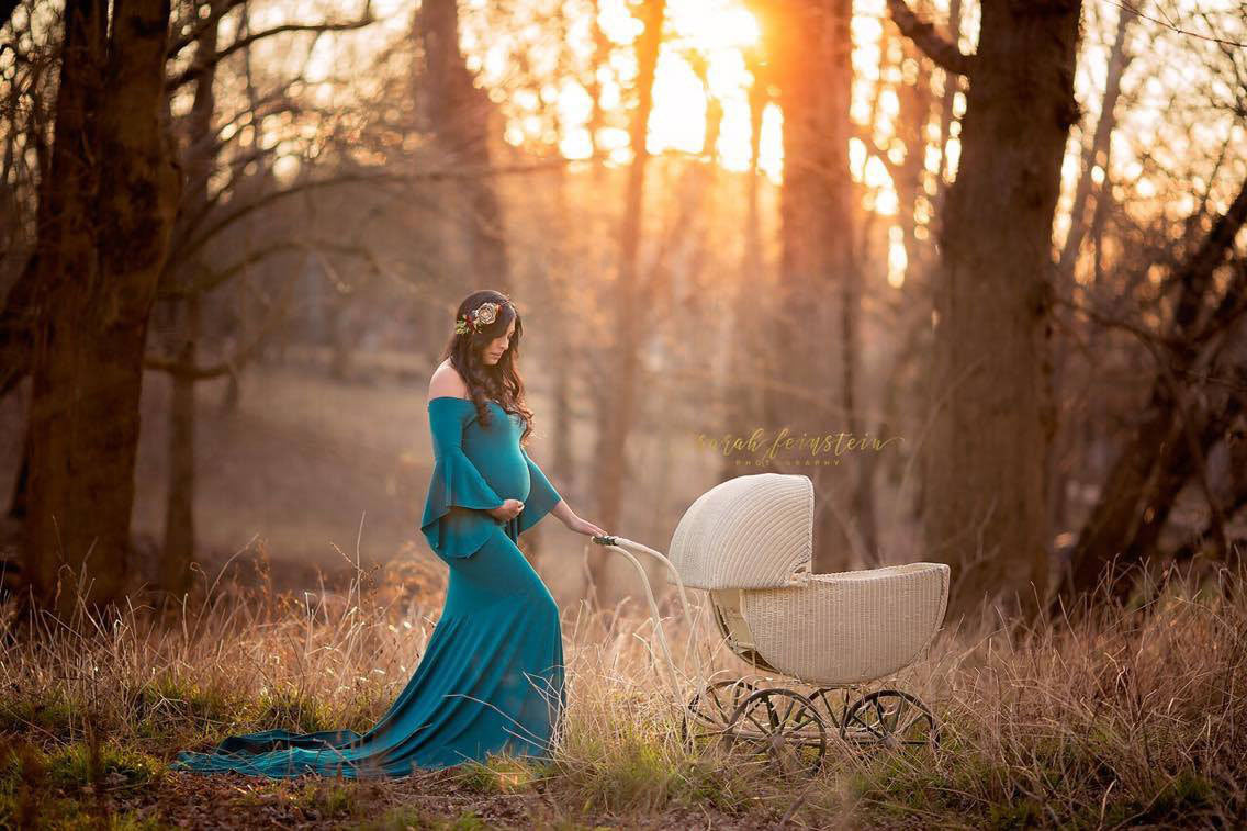 Fox Long Sleeve Aqua Maternity Dress for Photography