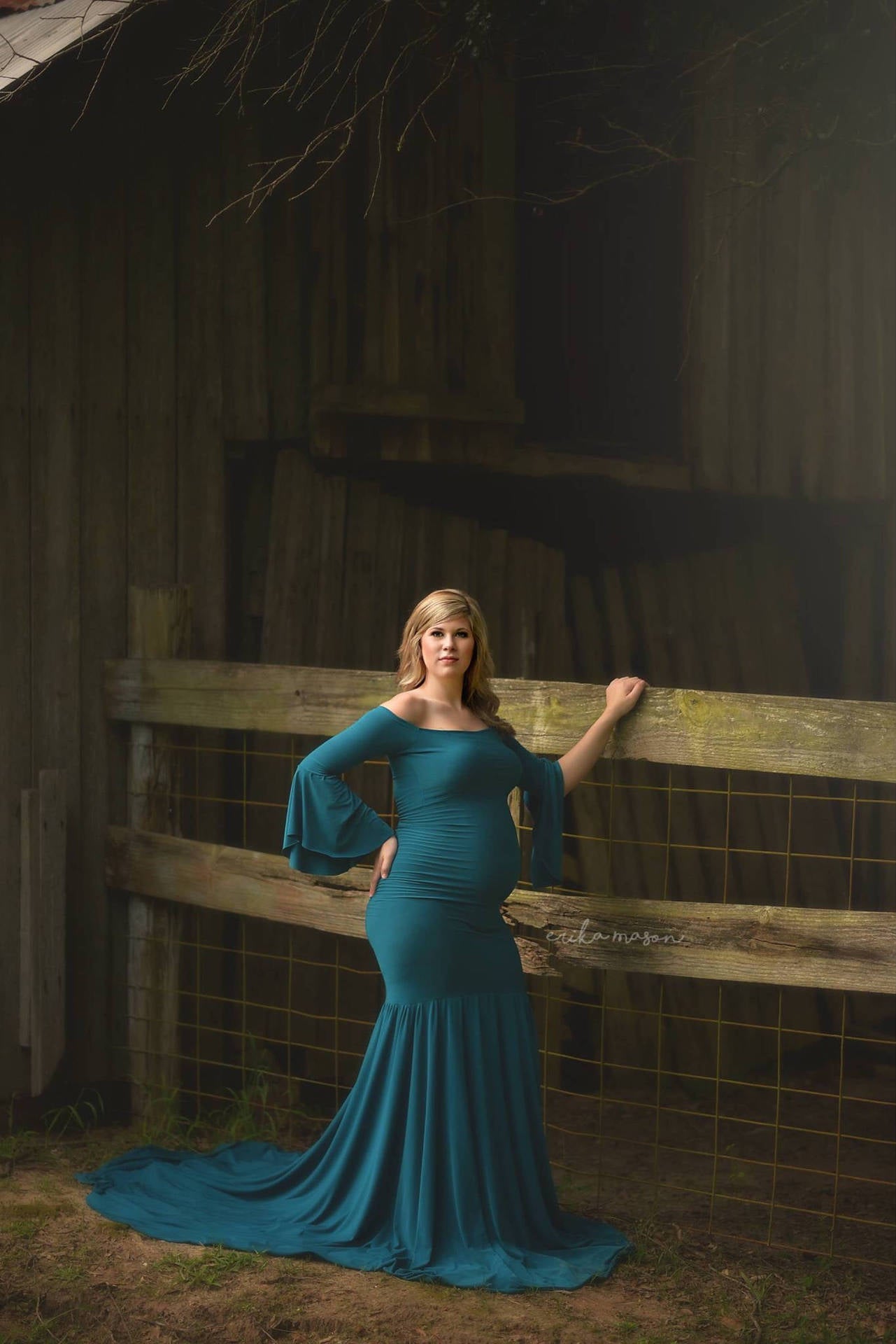 Fox Long Sleeve Aqua Maternity Dress for Photography