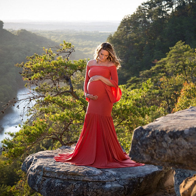 Fox Long Sleeve Aqua Maternity Dress for Photography