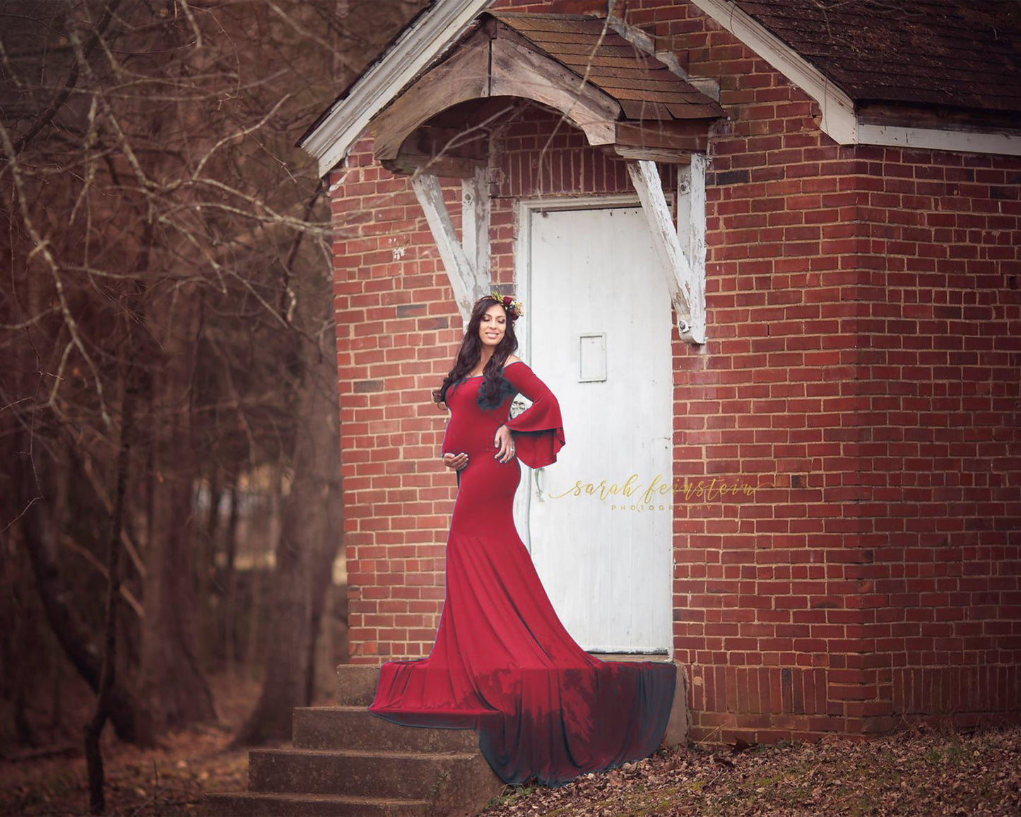 Fox Long Sleeve Aqua Maternity Dress for Photography