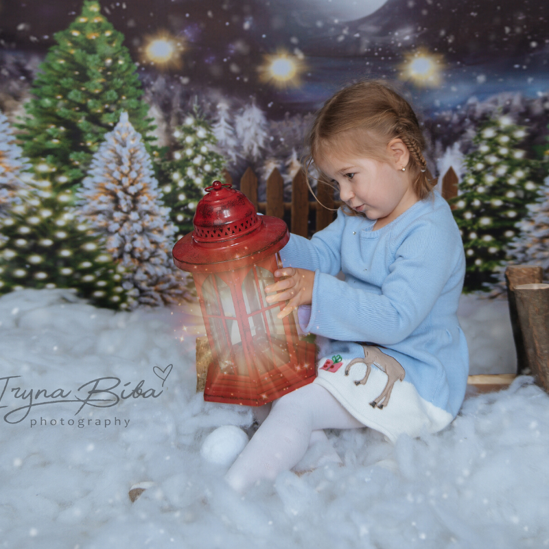 Fox Rolled Night Christmas Children Photos Vinyl Backdrop - Foxbackdrop