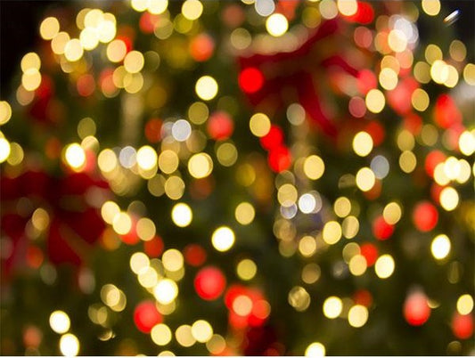 Fox Bokeh Shiny Christmas Vinyl Photoshoot Backdrop