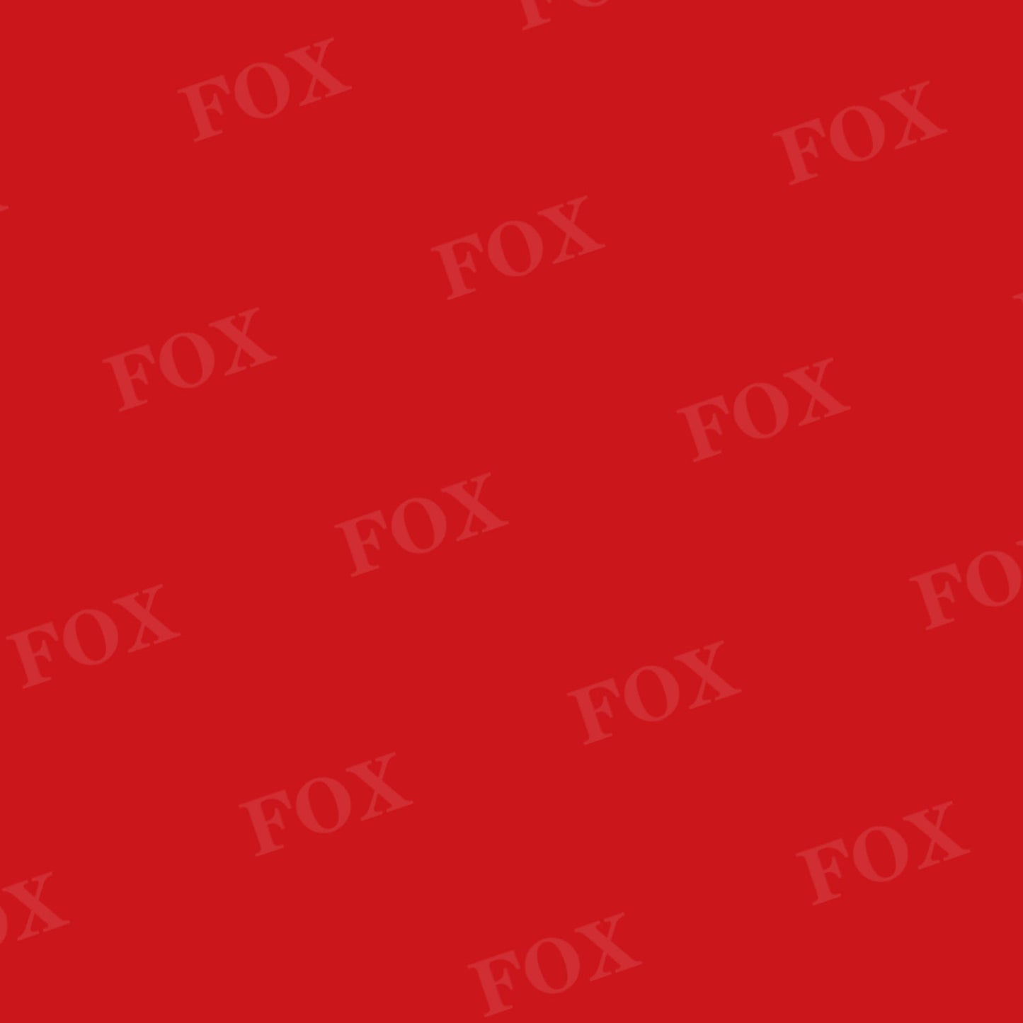 Fox Solid Venetian Red Vinyl Backdrop Designed by JT photography