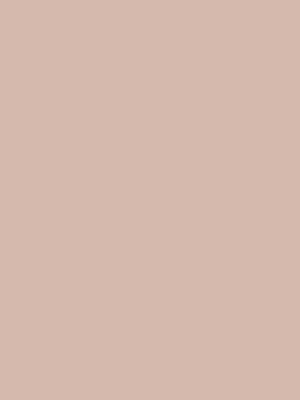 Fox Rolled Solid Milk Tea Color Vinyl Photography Backdrop - Foxbackdrop