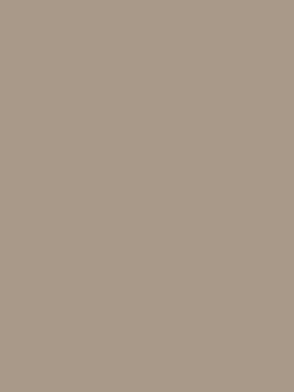 Fox Rolled Solid Brown Vinyl Photography Backdrop - Foxbackdrop