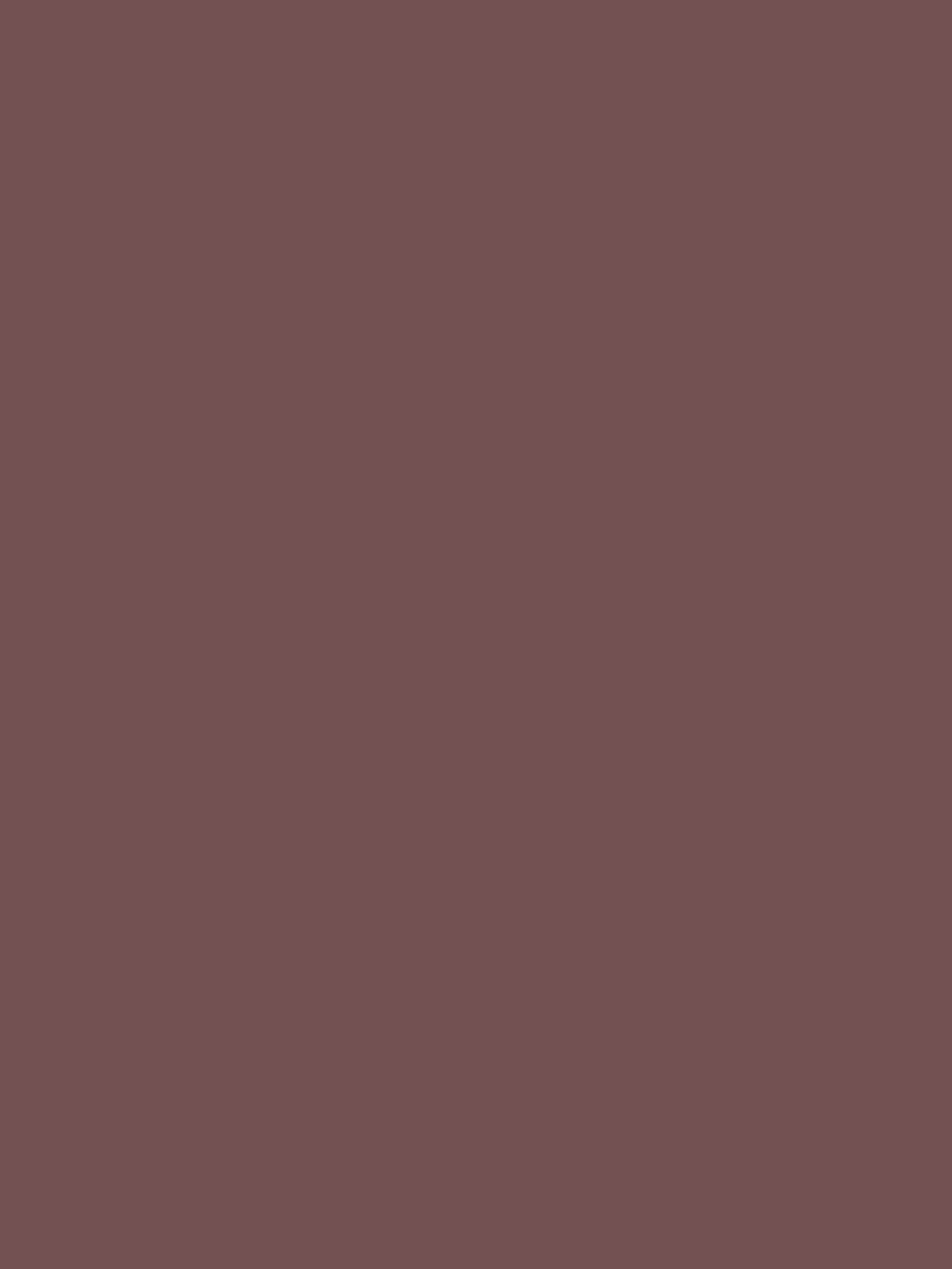 Fox Rolled Solid Dark Brown Vinyl Photography Backdrop - Foxbackdrop