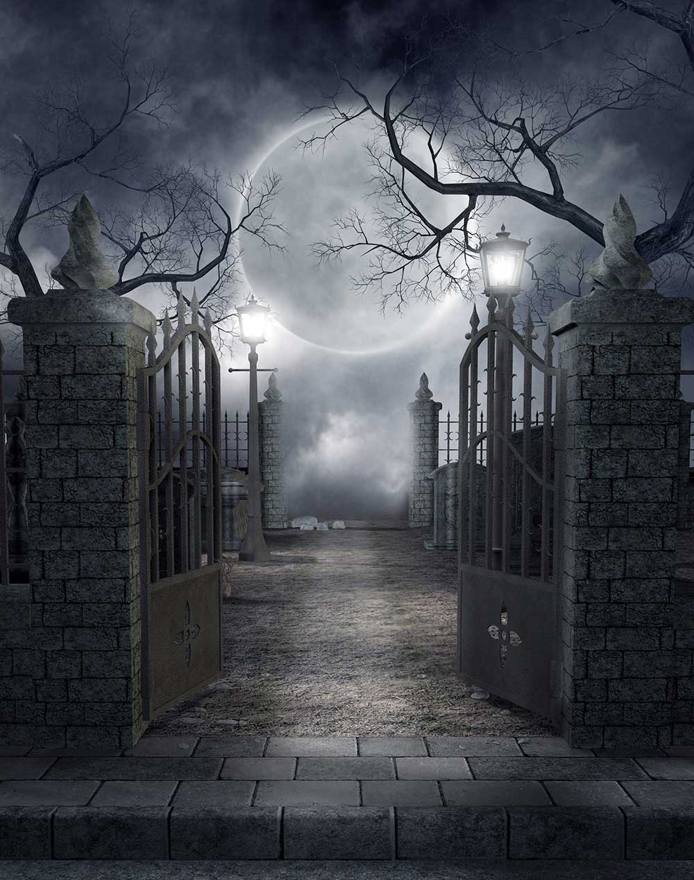 Fox Halloween Holiday Night Moon Black Vinyl Backdrop - Foxbackdrop