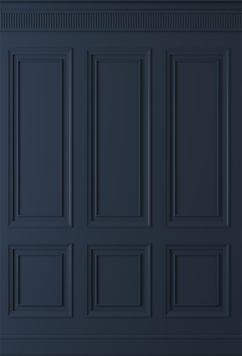 Fox Dark Blue Retro Door Vinyl Backdrop for Photography