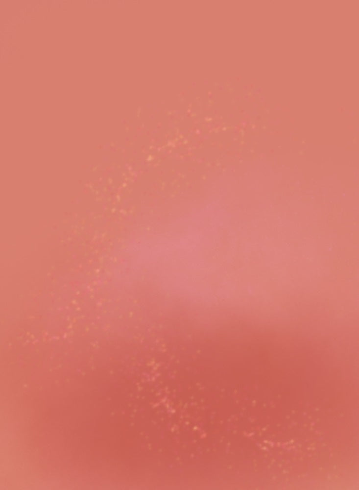 Fox Orange Pink Abstract Vinyl Backdrop Designed By Ani Ghelichian