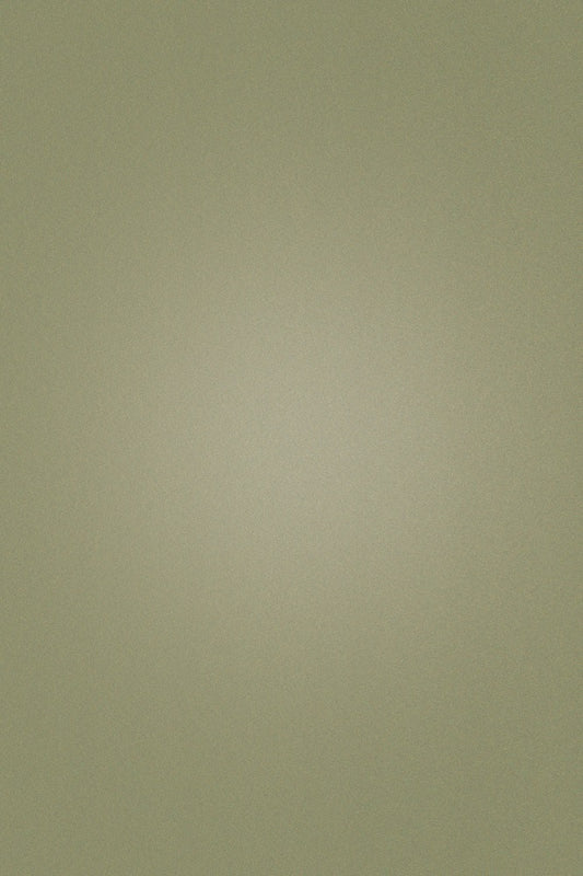 Fox Abstract Gray Green Vinyl Portrait Photography Backdrop