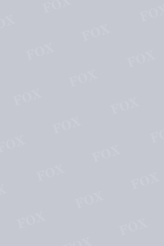 Fox Solid Lavender Gray Vinyl Backdrop Designed by JT photography