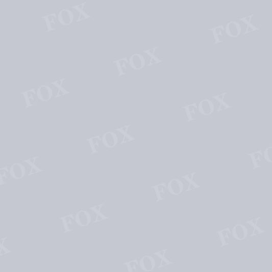 Fox Solid Lavender Gray Vinyl Backdrop Designed by JT photography