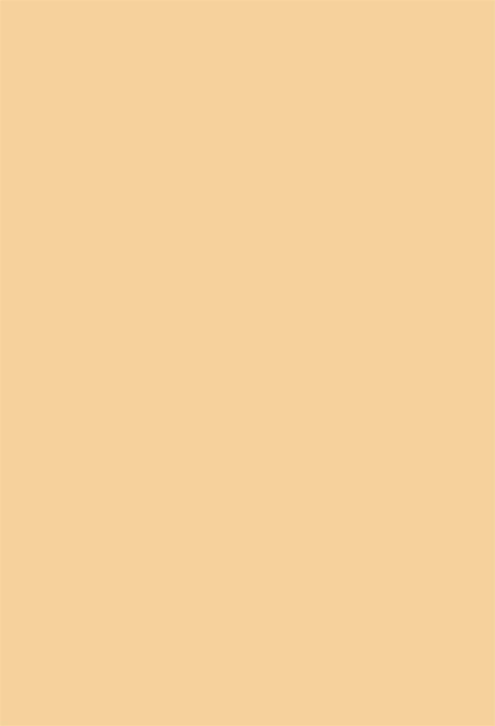 Fox Solid Caramel Vinyl Backdrop Designed by JT photography