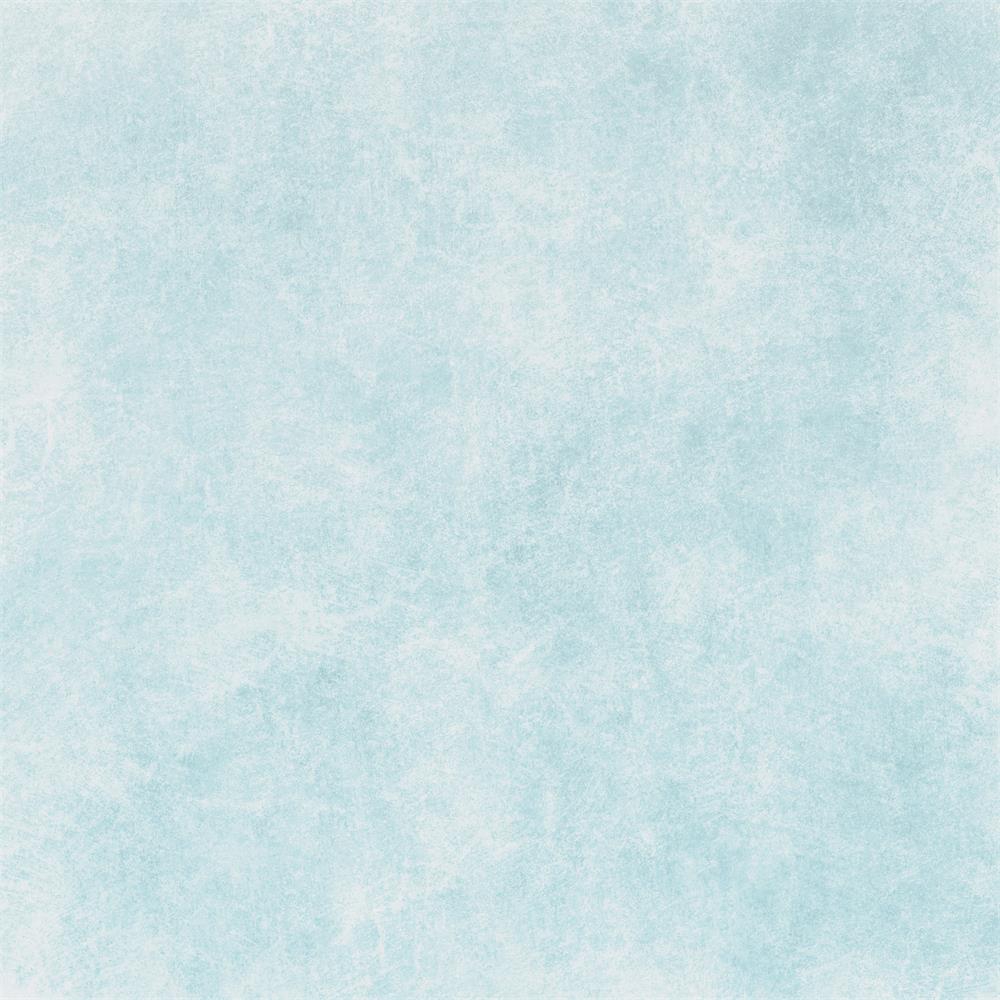Fox Abstract Thin Ice Color Vinyl Portrait Photography Backdrop