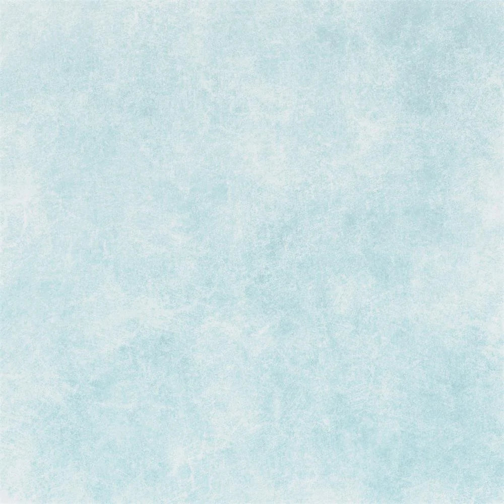 RTS Fox Abstract Thin Ice Color Fabric Portrait Photography Backdrop