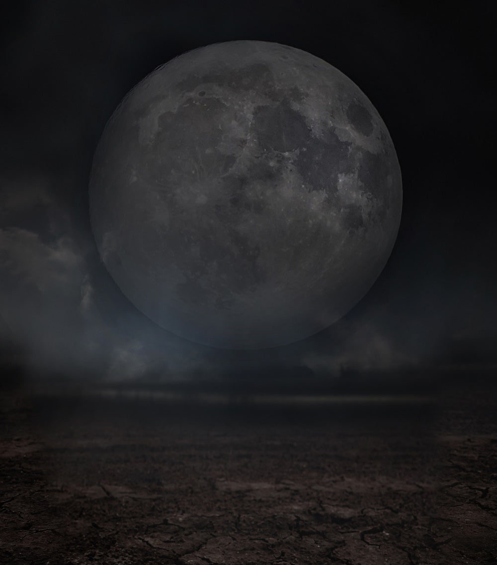 Fox Moon Planet Night Halloween Vinyl Backdrop for Photography