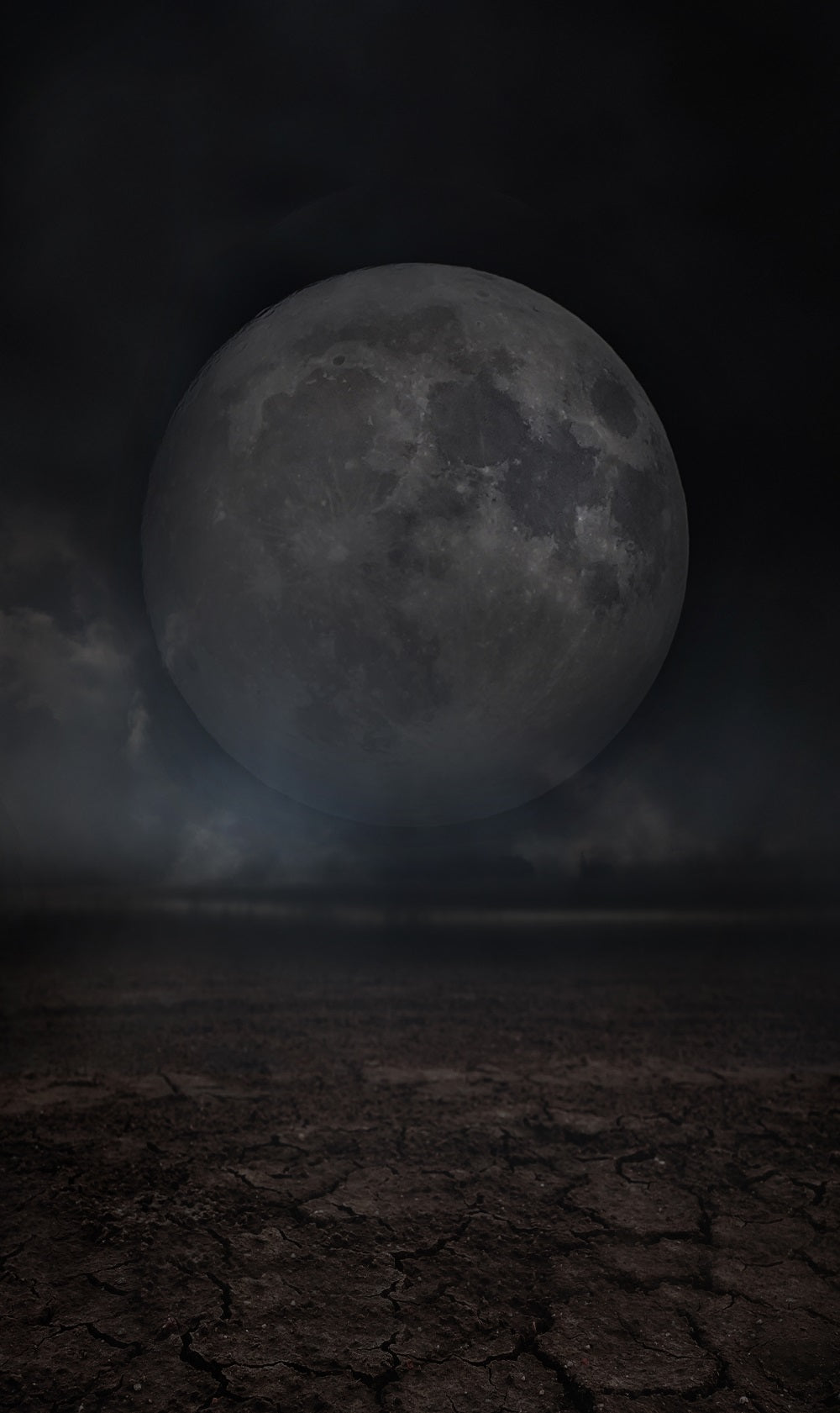 Fox Moon Planet Night Halloween Vinyl Backdrop for Photography