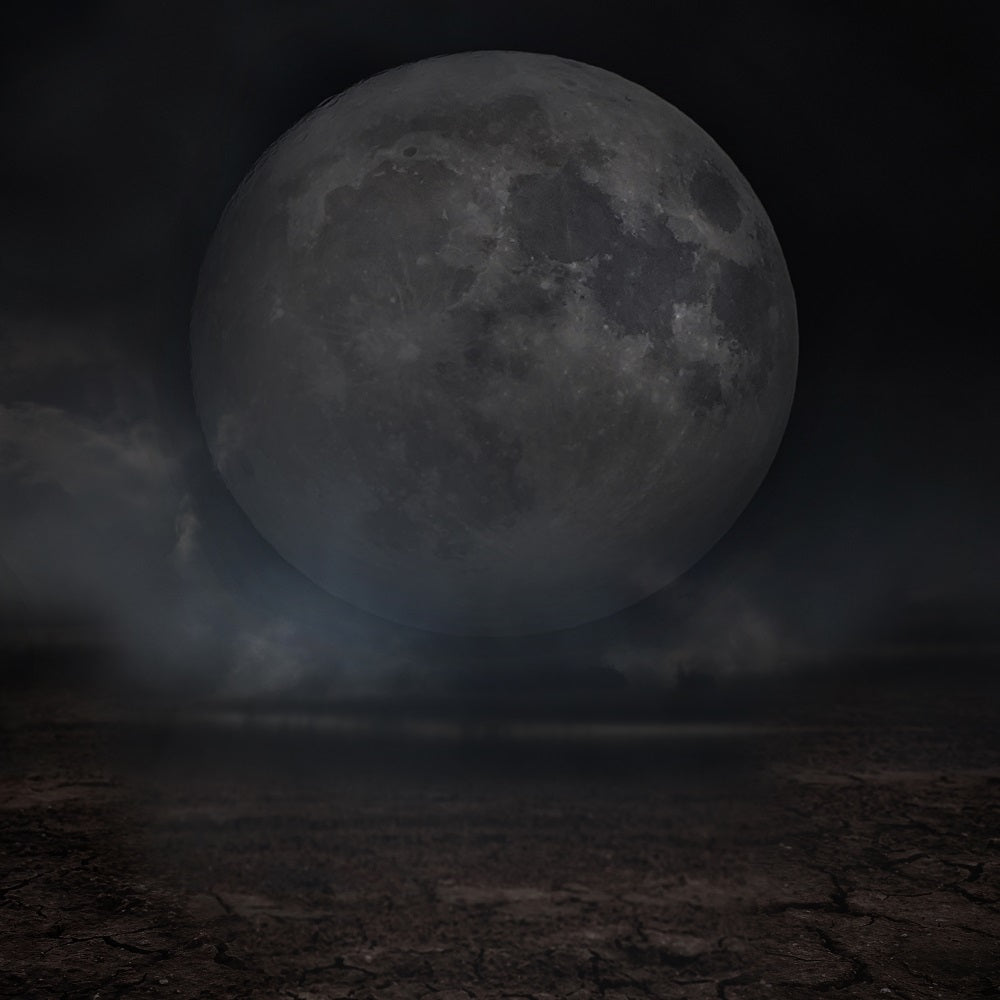 Fox Moon Planet Night Halloween Vinyl Backdrop for Photography
