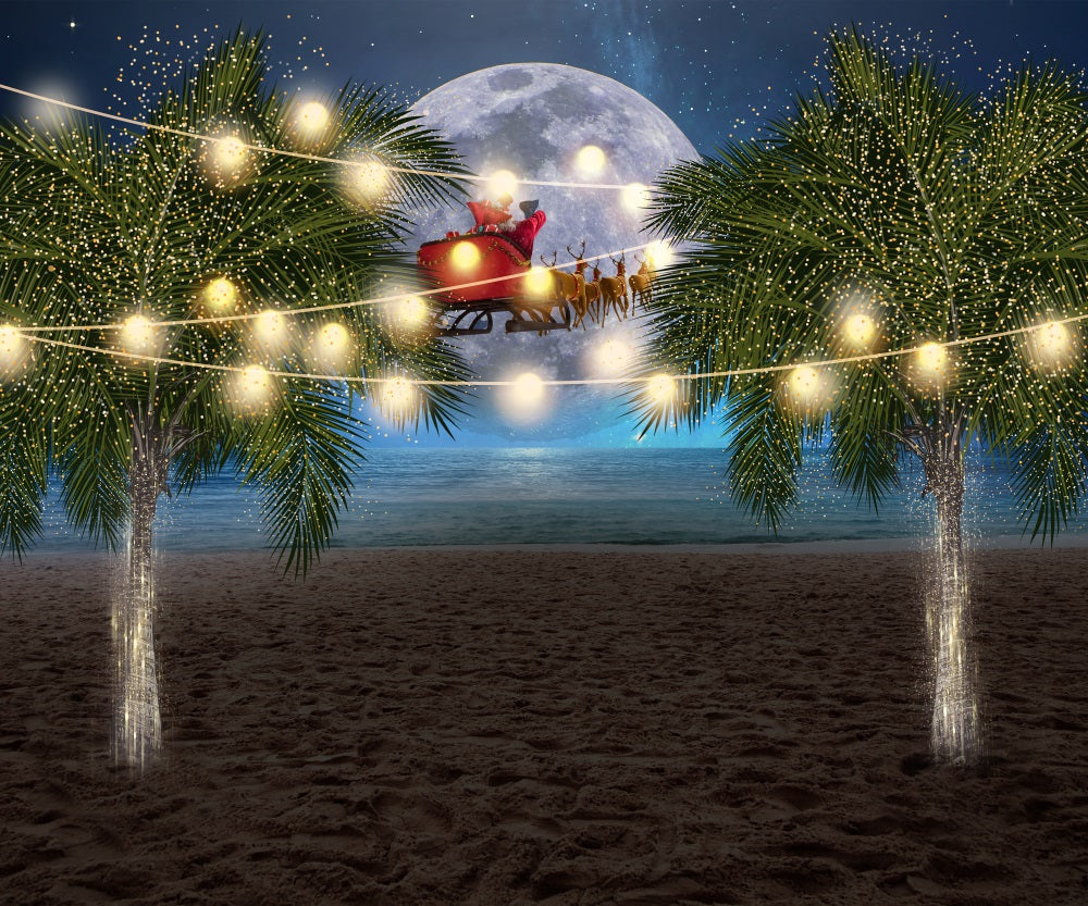 Fox Christmas Eve Sleigh Vinyl/Fabric Backdrop