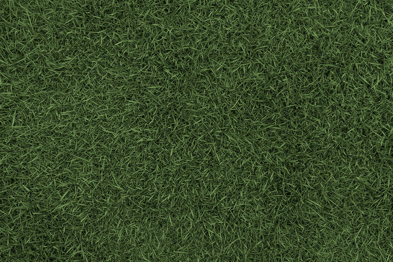 Fox Spring Green Grass Vinyl Backdrop Photography