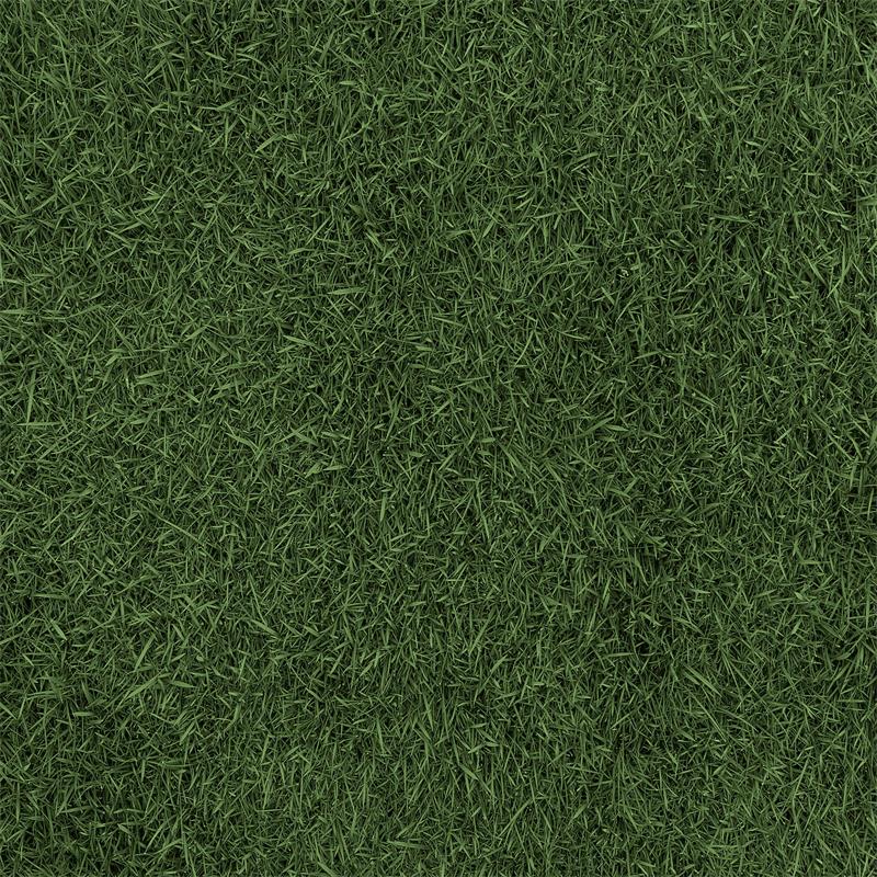 Fox Spring Green Grass Vinyl Backdrop Photography