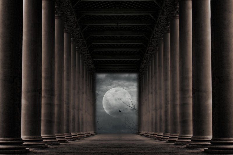 Fox Light Pillar Halloween Vinyl Backdrop Photography