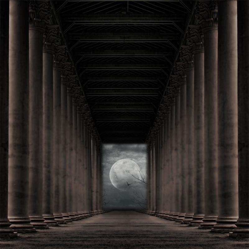Fox Light Pillar Halloween Vinyl Backdrop Photography