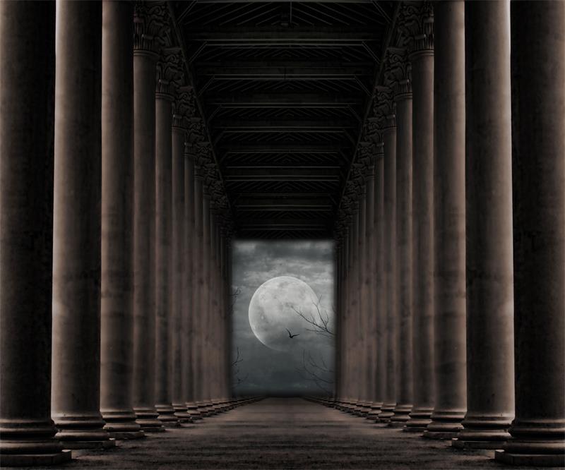 Fox Light Pillar Halloween Vinyl Backdrop Photography