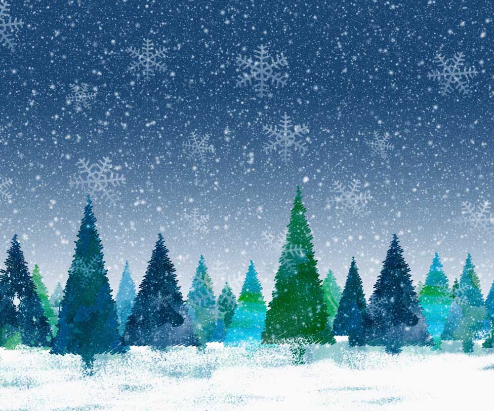 Fox Winter Snow Photostudio Vinyl Backdrop