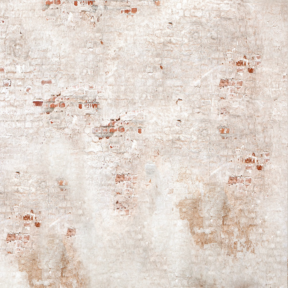 Fox Vague Vintage Brick Falling off Wall Vinyl Portrait Backdrop Designed by JT photography